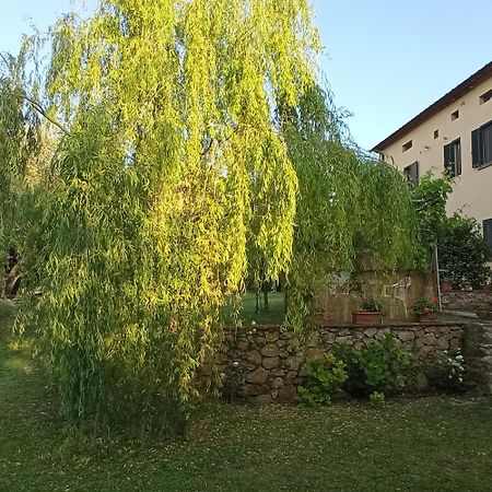 Apartamento La Bellana Guardistallo Exterior foto