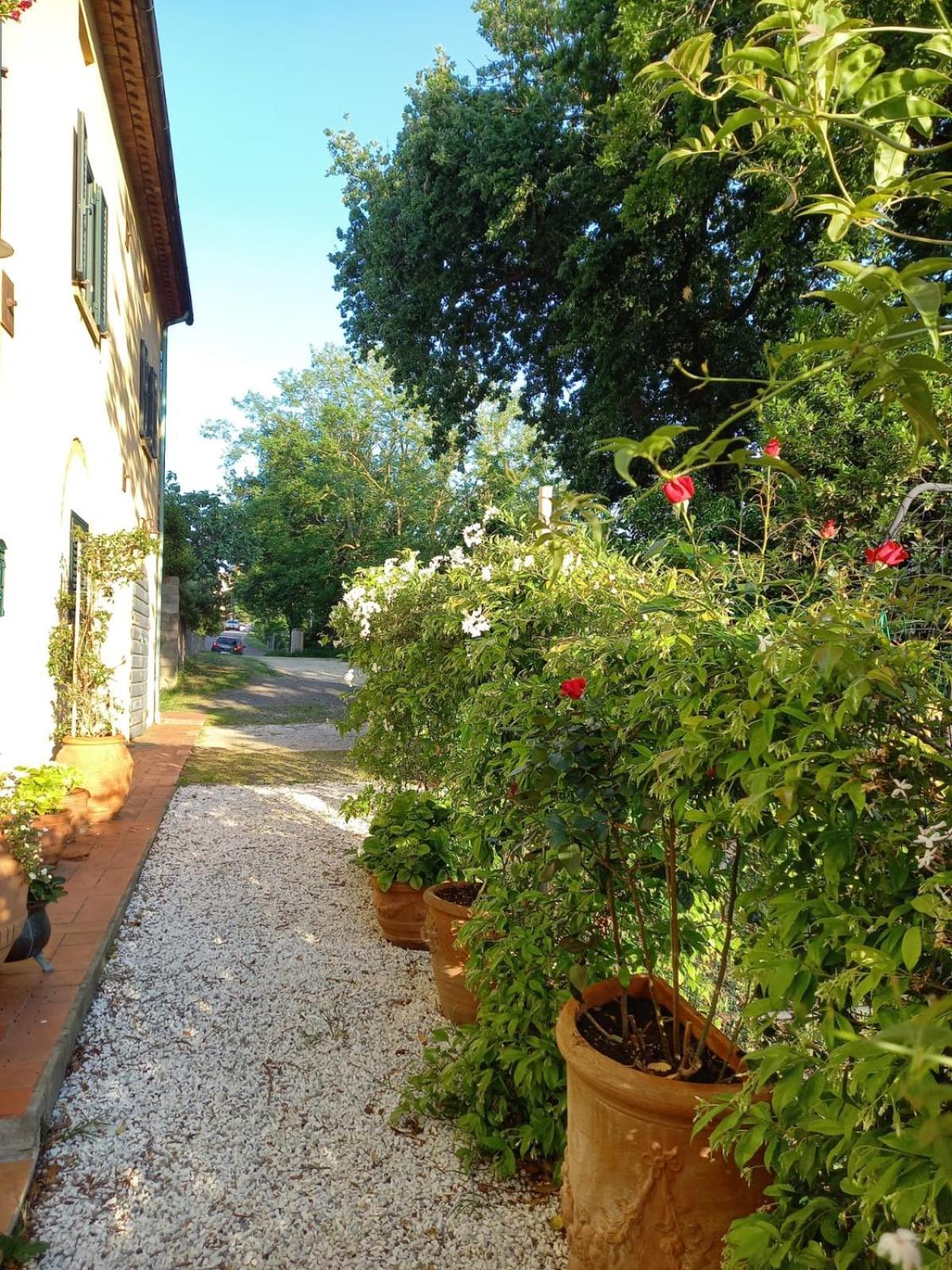 Apartamento La Bellana Guardistallo Exterior foto